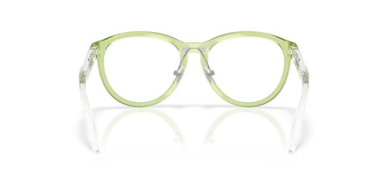 Polished Transparent Fern - 0OY8027D 888392647450