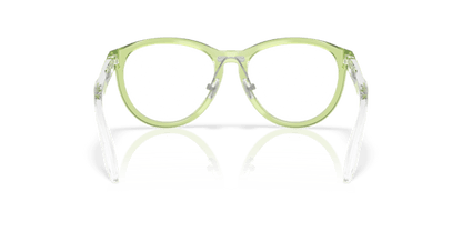 Polished Transparent Fern - 0OY8027D 888392647450