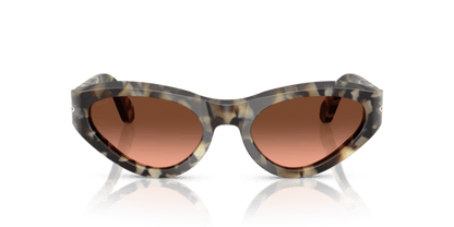 Brown Tortoise - 0PO0052S 8056262257234 Persol Sunglasses Woman Butterfly
