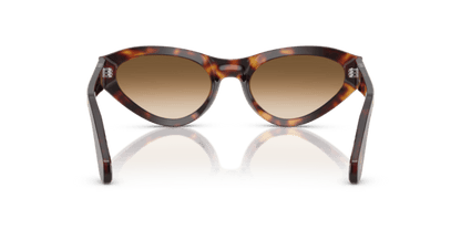 Havana - 0PO0052S 8056262257241 Persol Sunglasses Woman Butterfly