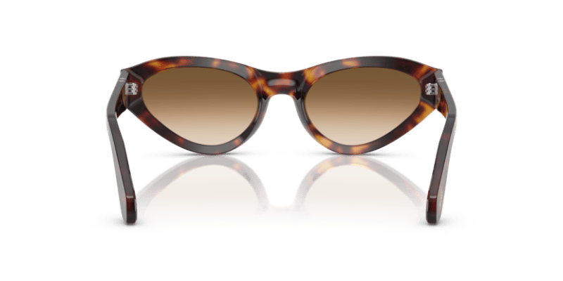 Havana - 0PO0052S 8056262257241 Persol Sunglasses Woman Butterfly