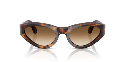 Havana - 0PO0052S 8056262257241 Persol Sunglasses Woman Butterfly