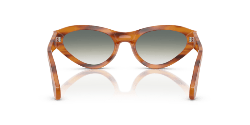 Striped Brown - 0PO0052S 8056262263426 Persol Sunglasses Woman Butterfly