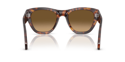 Havana - 0PO0054S 8056262263020 Persol Sunglasses Unisex Pillow