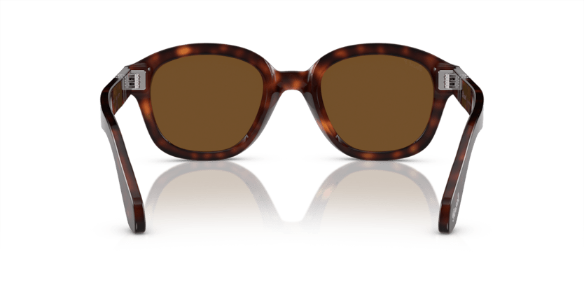 0PO0060S - Persol - (Havana) Polarized Brown - 50 - 23 - 145 MM - Ardor Eyewear 8056262080733