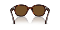 0PO0060S - Persol - (Havana) Polarized Brown - 50 - 23 - 145 MM - Ardor Eyewear 8056262080733