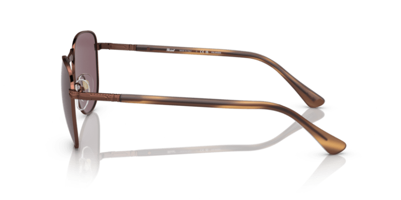 Shiny Brown - 0PO1002S 8056597746717