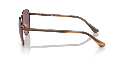 Shiny Brown - 0PO1002S 8056597746717