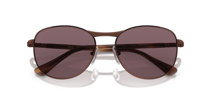 Shiny Brown - 0PO1002S 8056597746717