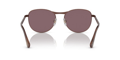 Shiny Brown - 0PO1002S 8056597746717