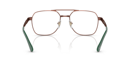 Shiny Brown - 0PO1004S 8056597808545