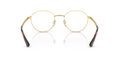 Gold/Havana - 0PO2460V 8056597057882