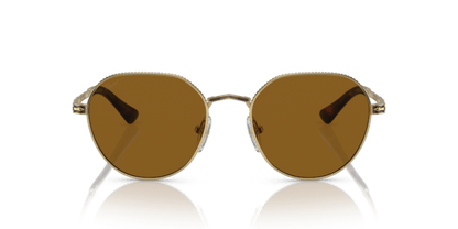 Gold/Havana - 0PO2486S 8056597544825