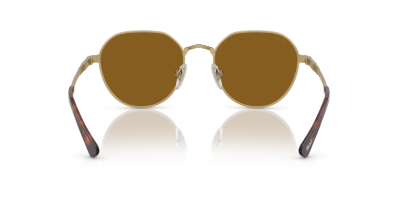 Gold/Havana - 0PO2486S 8056597544825