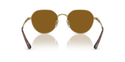 Gold/Havana - 0PO2486S 8056597544825