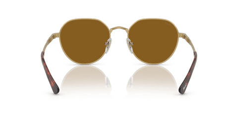 Gold/Havana - 0PO2486S 8056597544825