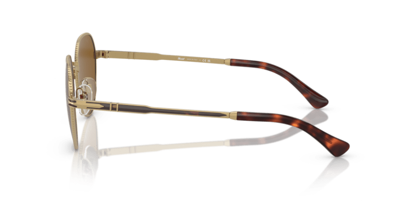 Gold/Havana - 0PO2486S 8056597544825