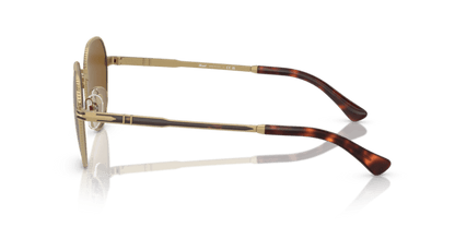 Gold/Havana - 0PO2486S 8056597544825