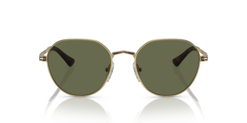 Gold/Havana - 0PO2486S 8056597544863