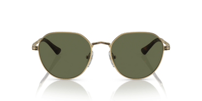 Gold/Havana - 0PO2486S 8056597544863