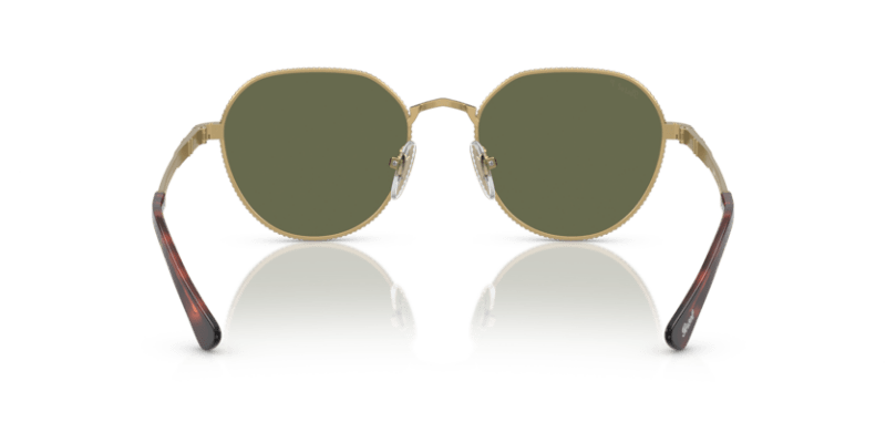 Gold/Havana - 0PO2486S 8056597544863