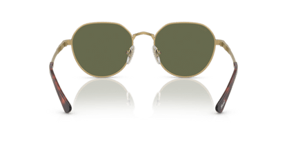 Gold/Havana - 0PO2486S 8056597544863