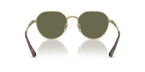Gold/Havana - 0PO2486S 8056597544863