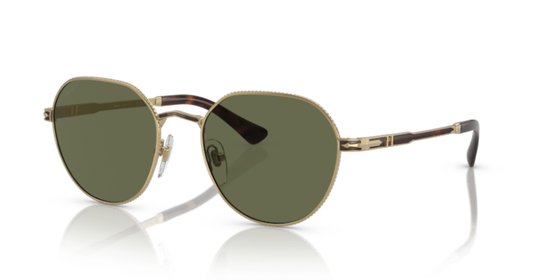 Gold/Havana - 0PO2486S 8056597544863