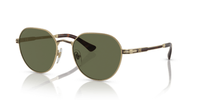 Gold/Havana - 0PO2486S 8056597544863