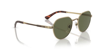 Gold/Havana - 0PO2486S 8056597544863