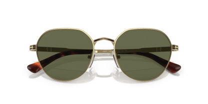 Gold/Havana - 0PO2486S 8056597544863