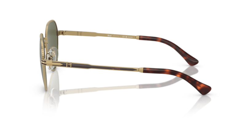 Gold/Havana - 0PO2486S 8056597544863