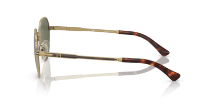 Gold/Havana - 0PO2486S 8056597544863