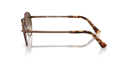 Persol 0PO2491S Brown 8056597595513