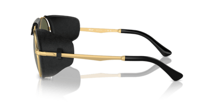 Gold - 0PO2496SZ 8056597620604