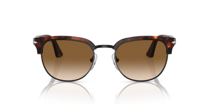 Brown Tortoise Black - 0PO3105S 8056597313469