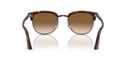 Brown Tortoise Black - 0PO3105S 8056597313469