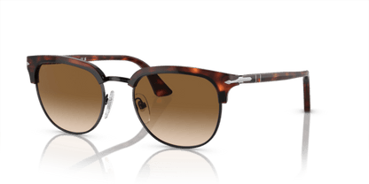 Brown Tortoise Black - 0PO3105S 8056597313469