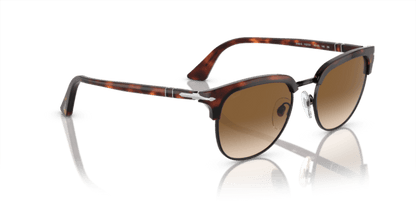 Brown Tortoise Black - 0PO3105S 8056597313469