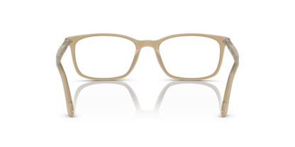 Opal Beige - 0PO3189V 8056597995603