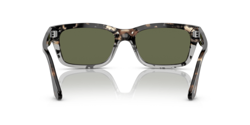 Brown Cut Grey Tortoise -  8056597744812