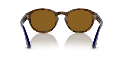 Persol 0PO3304S Brown/Tortoise Beige 8056597745796