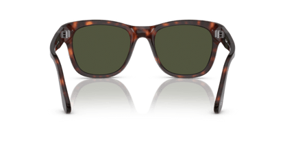 Tortoise Brown - 0PO3313S 8056597810951