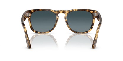 Beige Tortoise - 0PO3333S 8056597922746