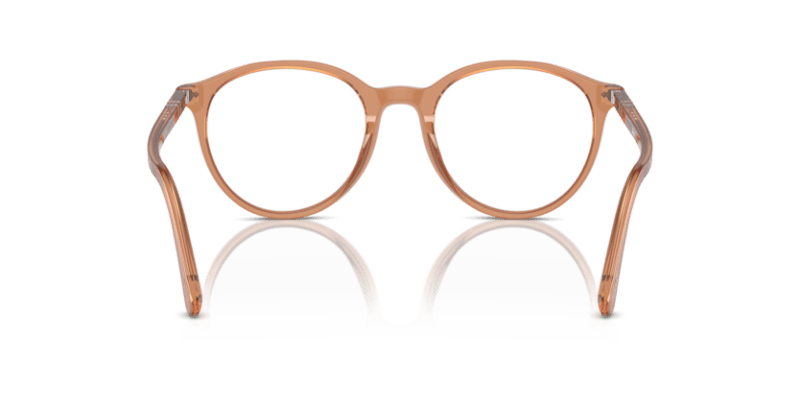 Transparent Brown - 0PO3353V 8056262096581