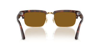 Tortoise Brown/Gold - 0PO3354S 8056597983754