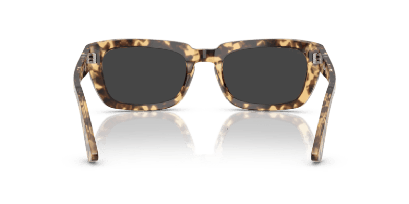 Brown Beige Tortoise - 0PO3367S 8056262224878