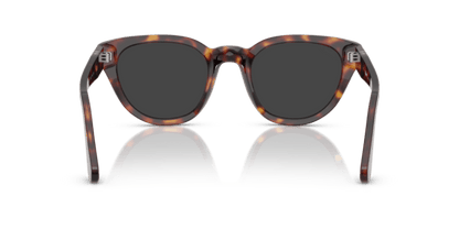 Havana - 0PO3379S 8056262374436 Persol Sunglasses Unisex Butterfly