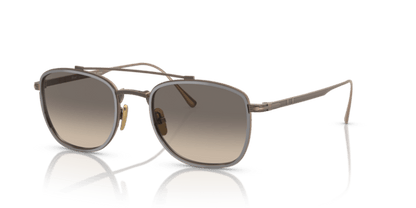 Brown/Gunmetal - 0PO5005ST 8056597444118