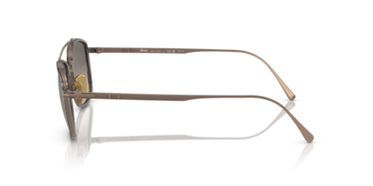 Brown/Gunmetal - 0PO5005ST 8056597444118